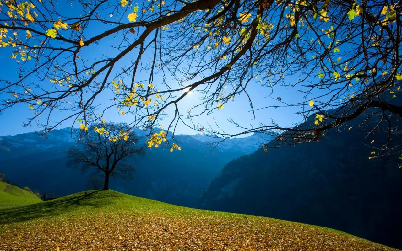 高标准数字化